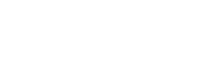 Giới thiệu Nệm Bình Dương - logo