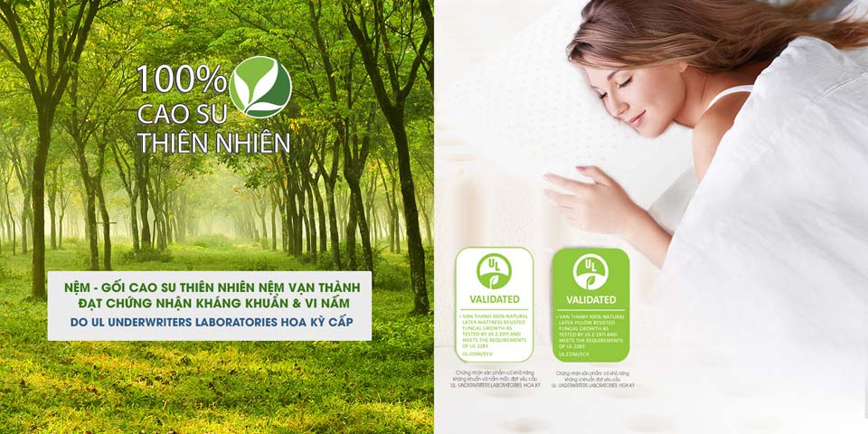 Nệm cao su Vạn Thành - Nệm Bình Dương