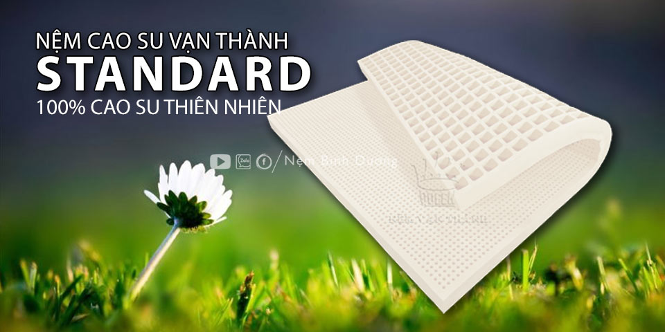 Nệm cao su Vạn Thành - Nệm Bình Dương