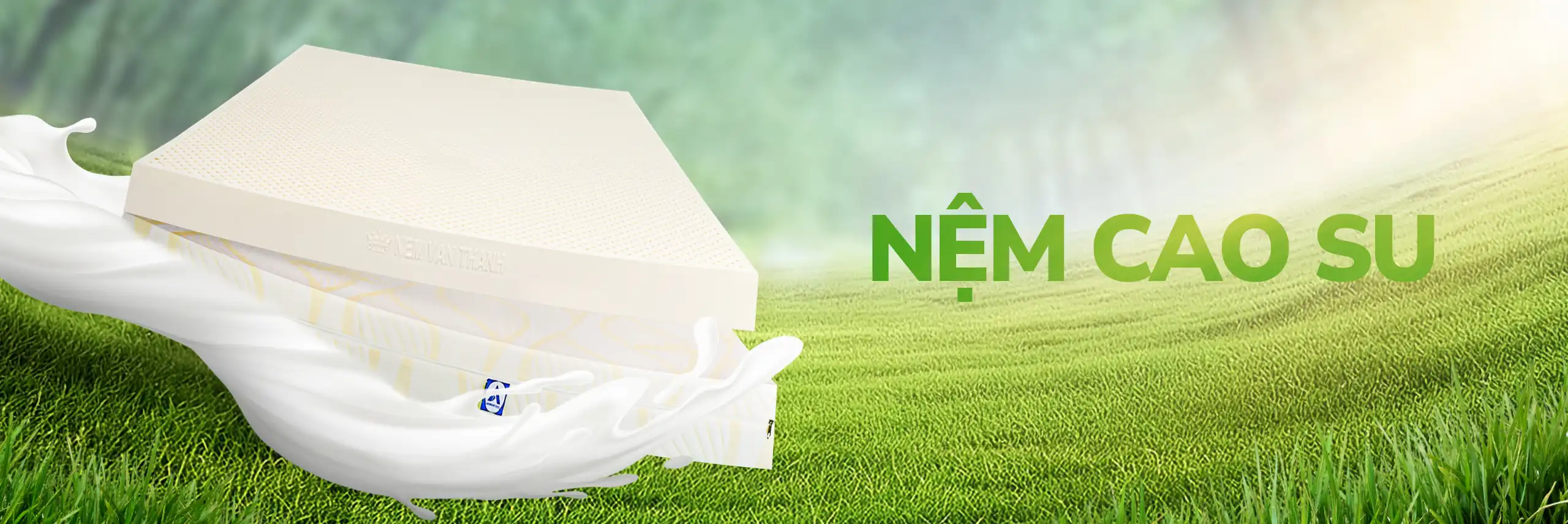 Nệm Cao Su - Nệm Bình Dương