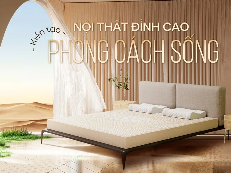 Các dòng nệm cao su thiên nhiên Kim Cương