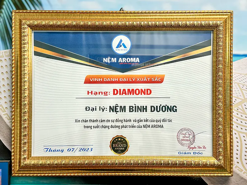 Nệm Bình Dương là đại lý chính thức của Nệm Aroma