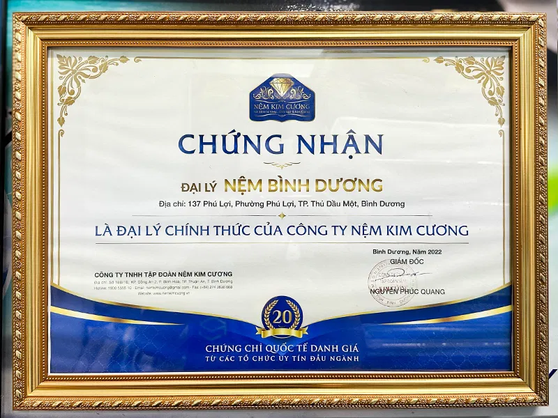 Nệm Bình Dương là đại lý chính thức Nệm Kim Cương