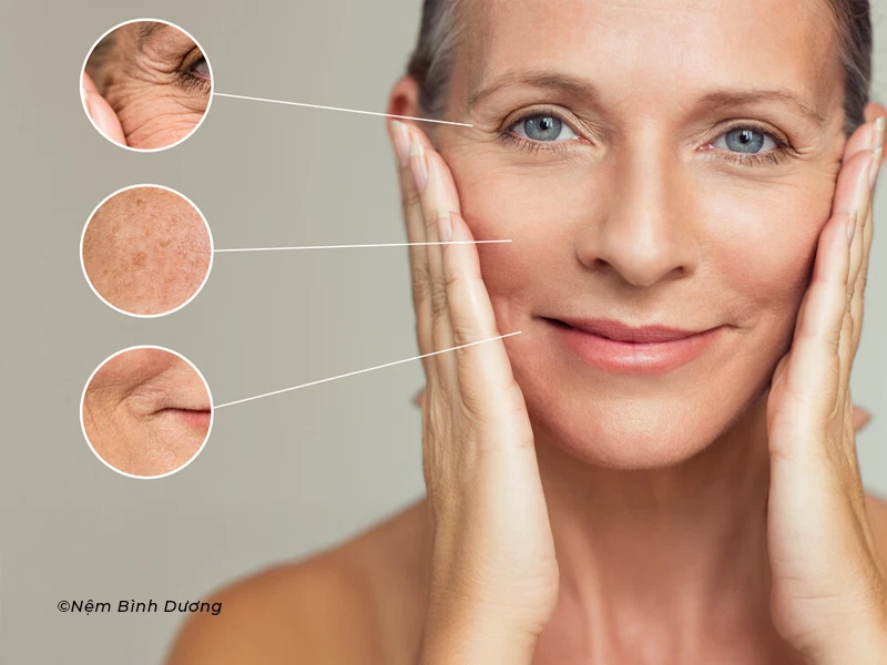 Cơ chế sinh học khiến da lão hóa nhanh hơn Giấc ngủ và quá trình lão hóa da