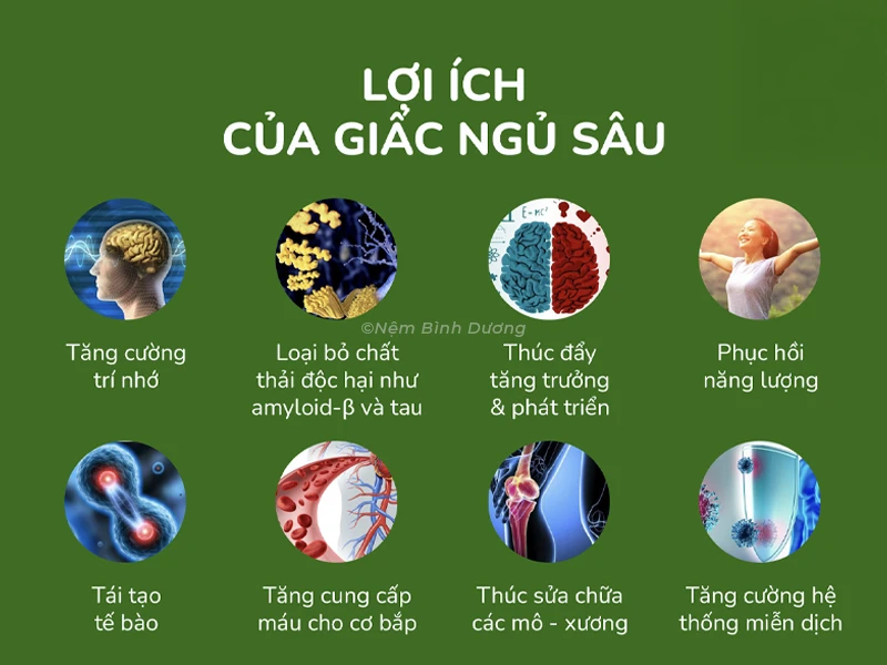 Lợi ích của giấc ngủ sâu đối với sức khỏe Lợi ích của giấc ngủ sâu đối với sức khỏe