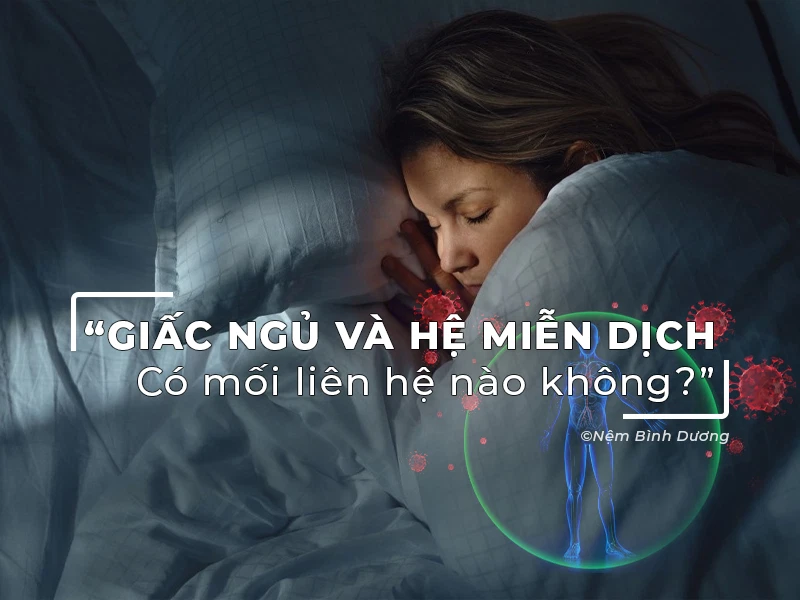 Mối liên hệ giữa giấc ngủ và hệ miễn dịch