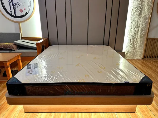 Nệm cao su Aroma Foam Latex