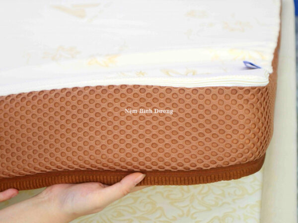 Nệm cao su Aroma Foam Latex - Nệm Bình Dương
