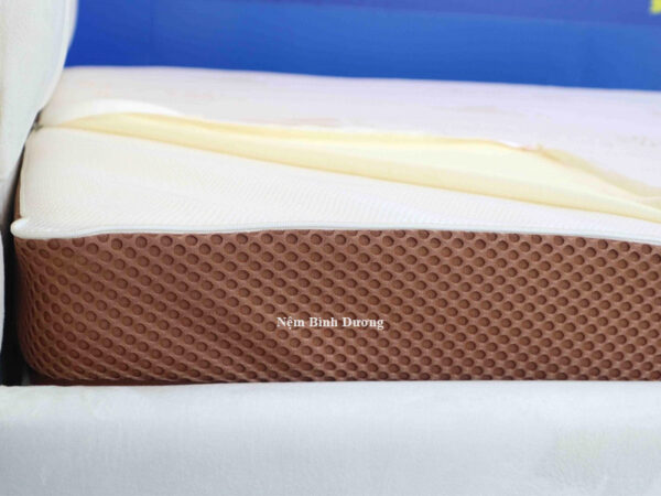 Nệm cao su Aroma Foam Latex - Nệm Bình Dương