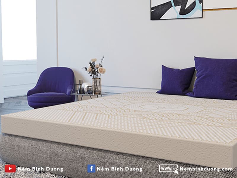Nệm cao su Kim Cương 5'Zone - Nệm Bình Dương