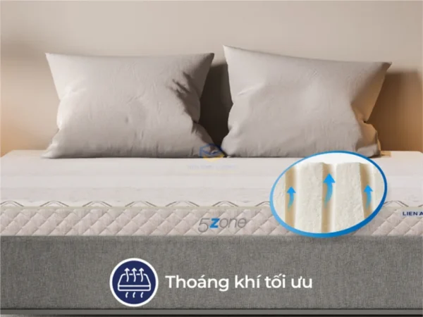 Nệm cao su Liên Á 5'Zone