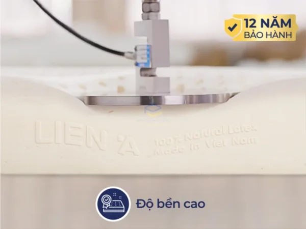 Nệm cao su Liên Á 5'Zone