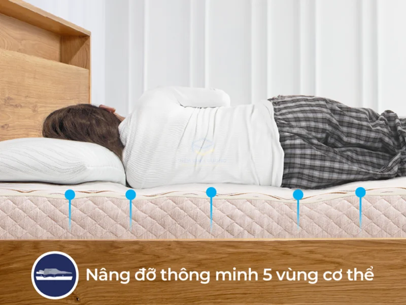 Nệm cao su Liên Á tại Bình Dương - Liên Á 5'Zone