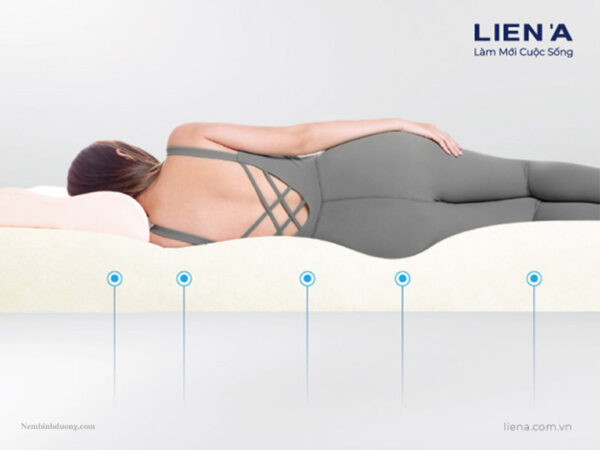 Nệm cao su Liên Á Five Zone - Nệm Bình Dương