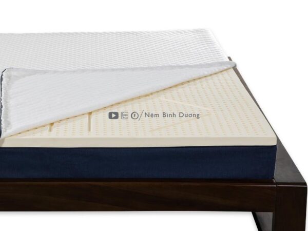 Nệm cao su Liên Á LA Dome Cool