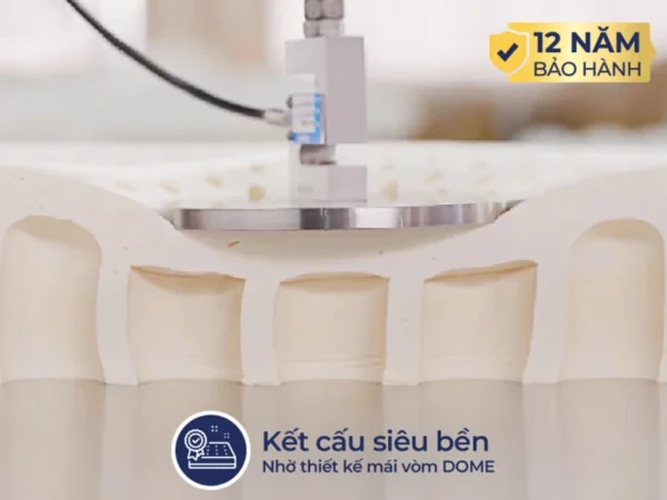 Nệm cao su Liên Á L'A Dome Cool