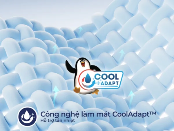 Nệm cao su Liên Á L'A Dome Cool