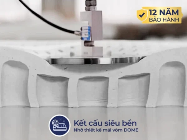 Nệm cao su Liên Á L'A Dome Grey