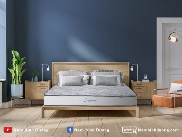 Nệm lò xo LIÊN Á CASSARO FIRM - Nệm Bình Dương