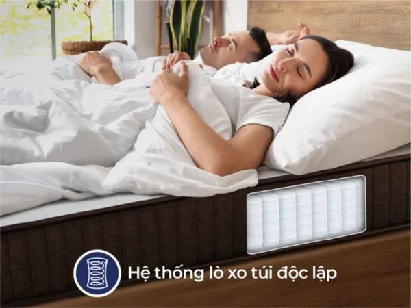 Nệm lò xo túi Liên Á Cocoon 2.0 Firm