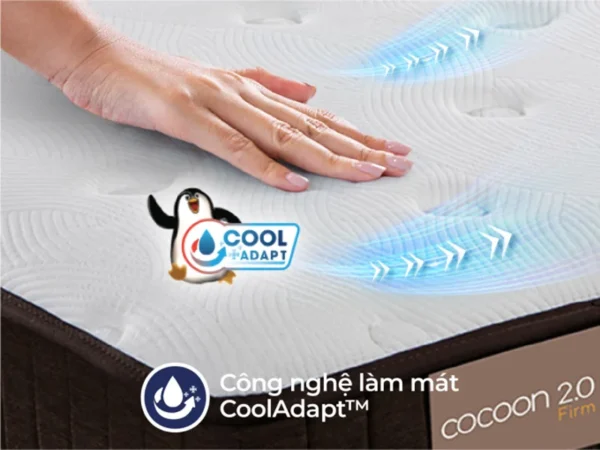 Nệm lò xo túi Liên Á Cocoon 2.0 Firm