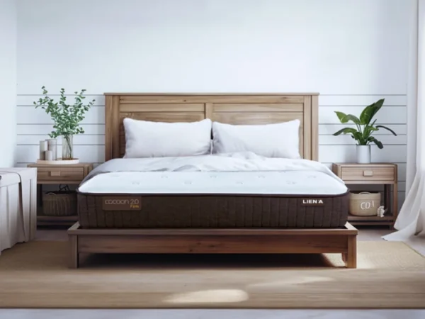 Nệm lò xo túi Liên Á Cocoon 2.0 Firm