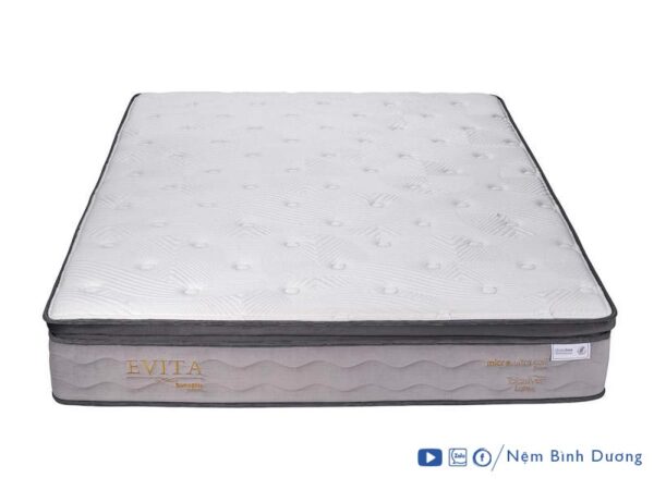 Nệm lò xo túi Dunlopillo Evita - Nệm Bình Dương