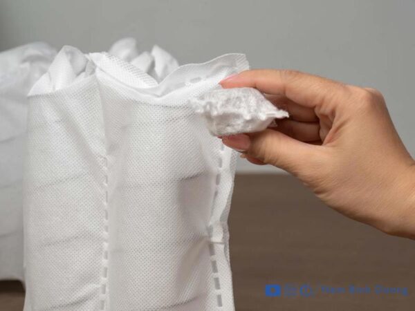 Nệm lò xo túi Dunlopillo Evita - Nệm Bình Dương