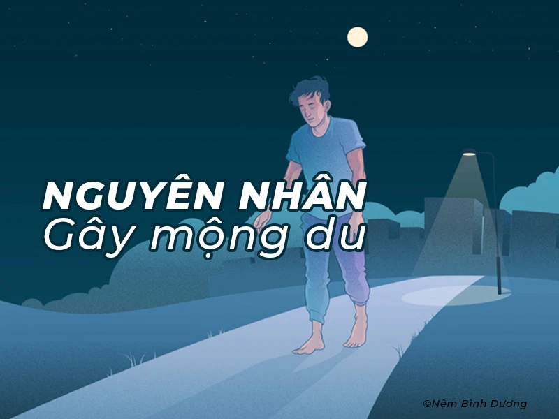 Nguyên nhân gây mộng du
