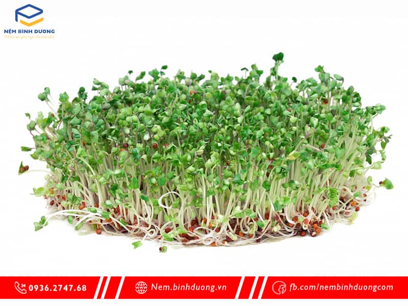 Rau bổ sung chất gì? Nệm Bình Dương