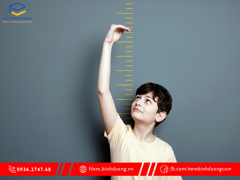 Tăng chiều cao ở tuổi dậy thì - Nệm Bình Dương