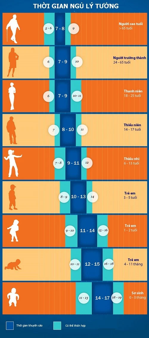 Thời gian ngủ lý tưởng cho người lớn