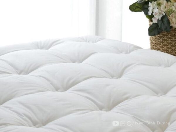 Topper Edena Deluxe - Nệm Bình Dương