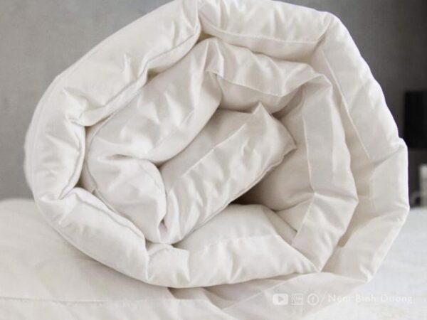 Topper Edena Deluxe - Nệm Bình Dương