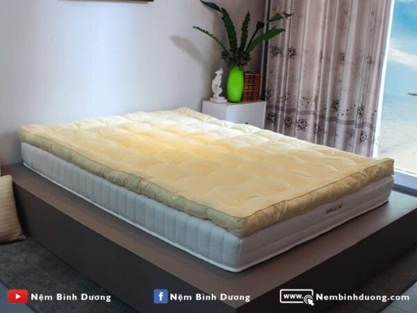 Topper Edena Hoàng Gia - Nệm Bình Dương