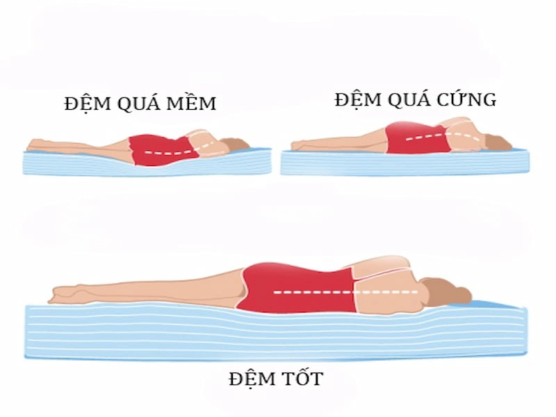 Nệm quá mềm hay quá cứng đều ảnh hưởng đến cột sống